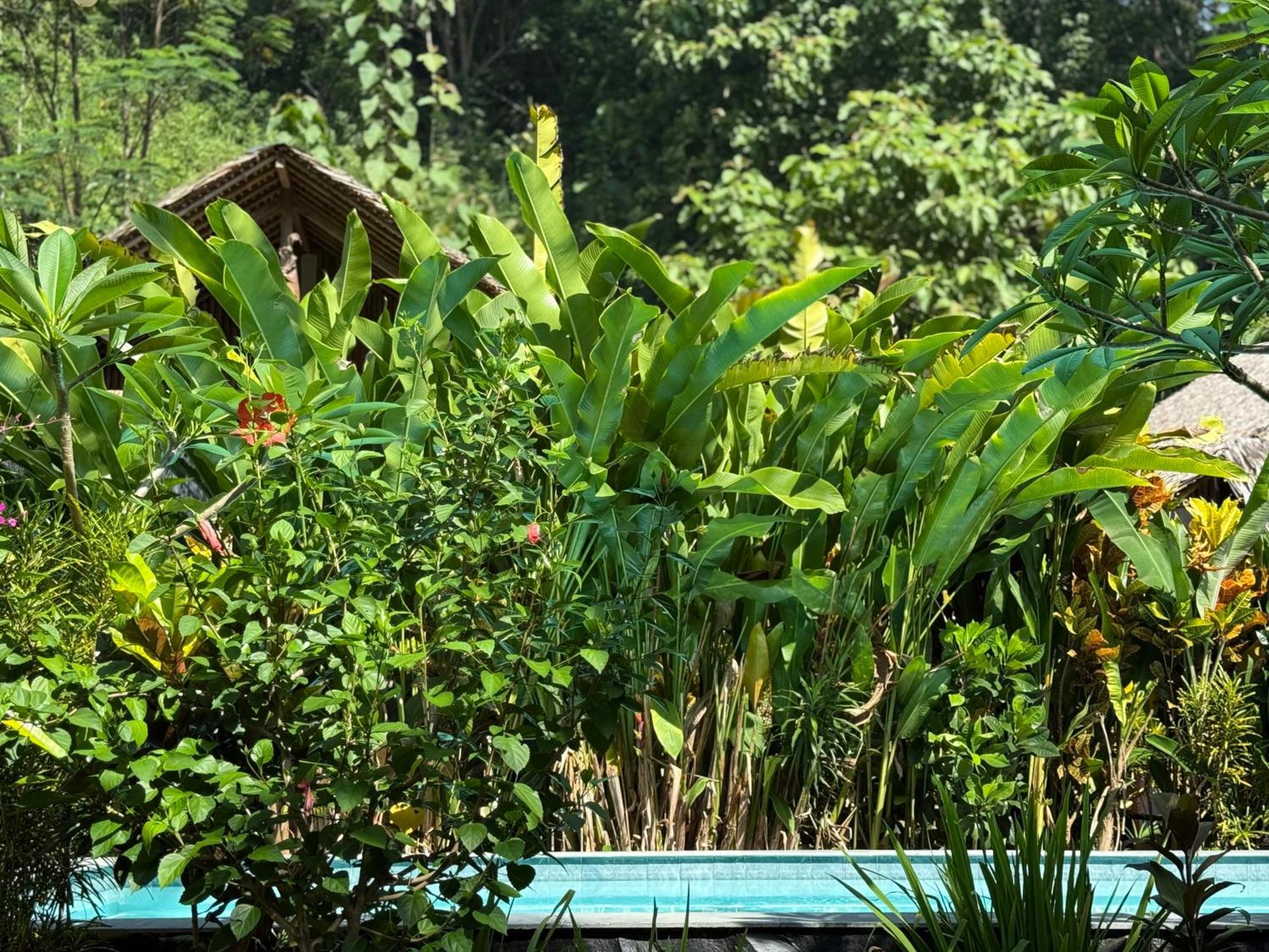 Rnv Eco Resort Bungalows Batukaras Eksteriør bilde