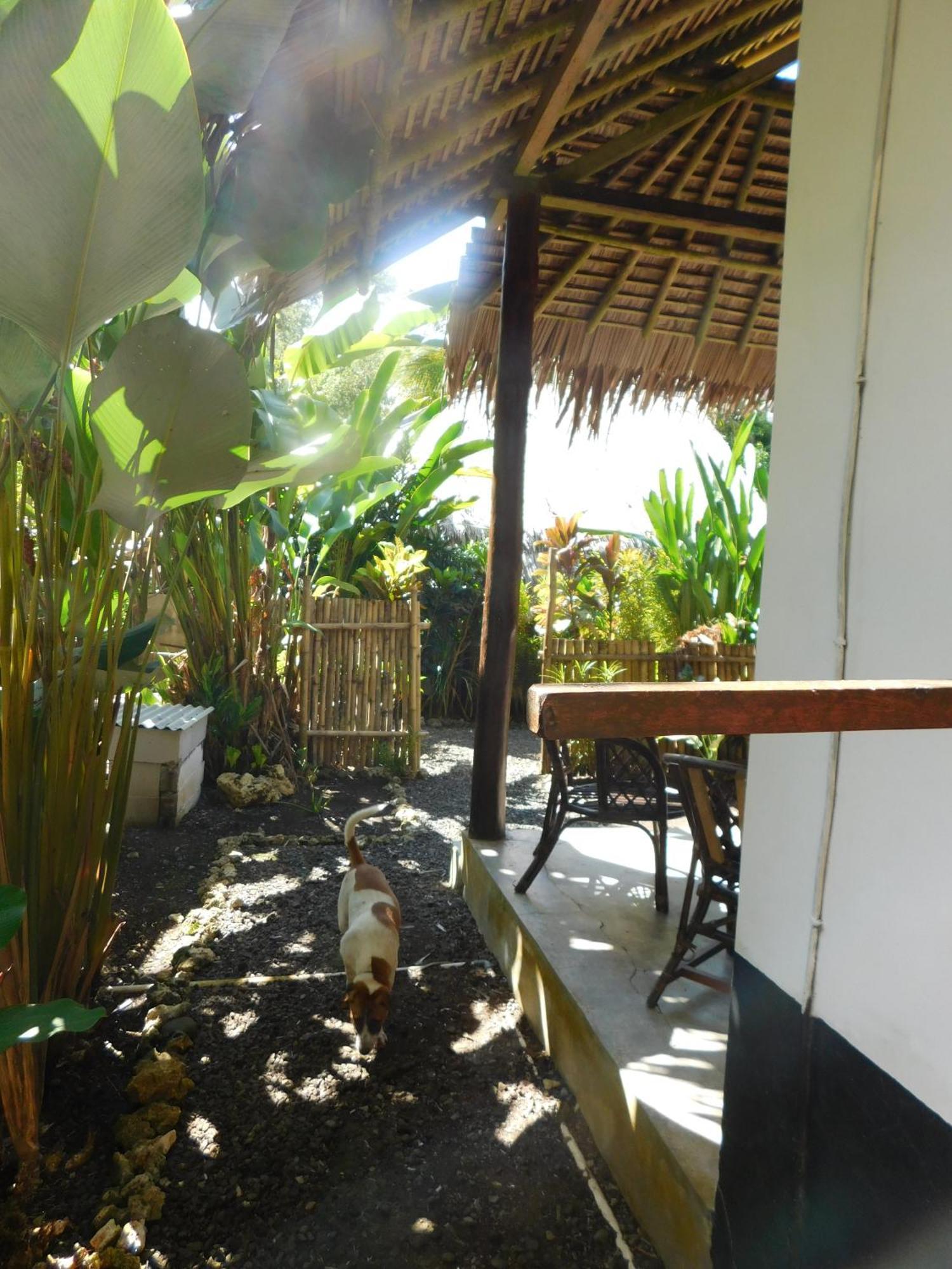 Rnv Eco Resort Bungalows Batukaras Eksteriør bilde